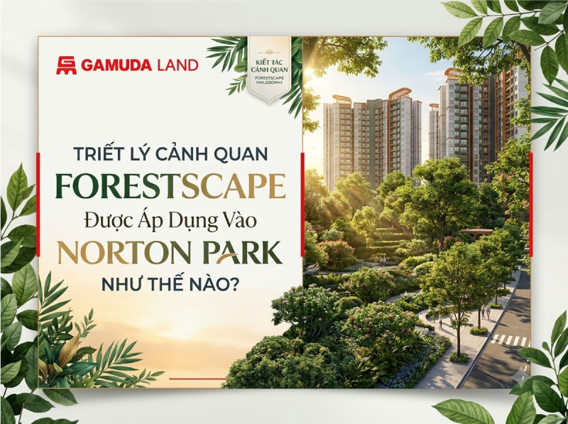 Triết Lý Cảnh Quan Forestscape