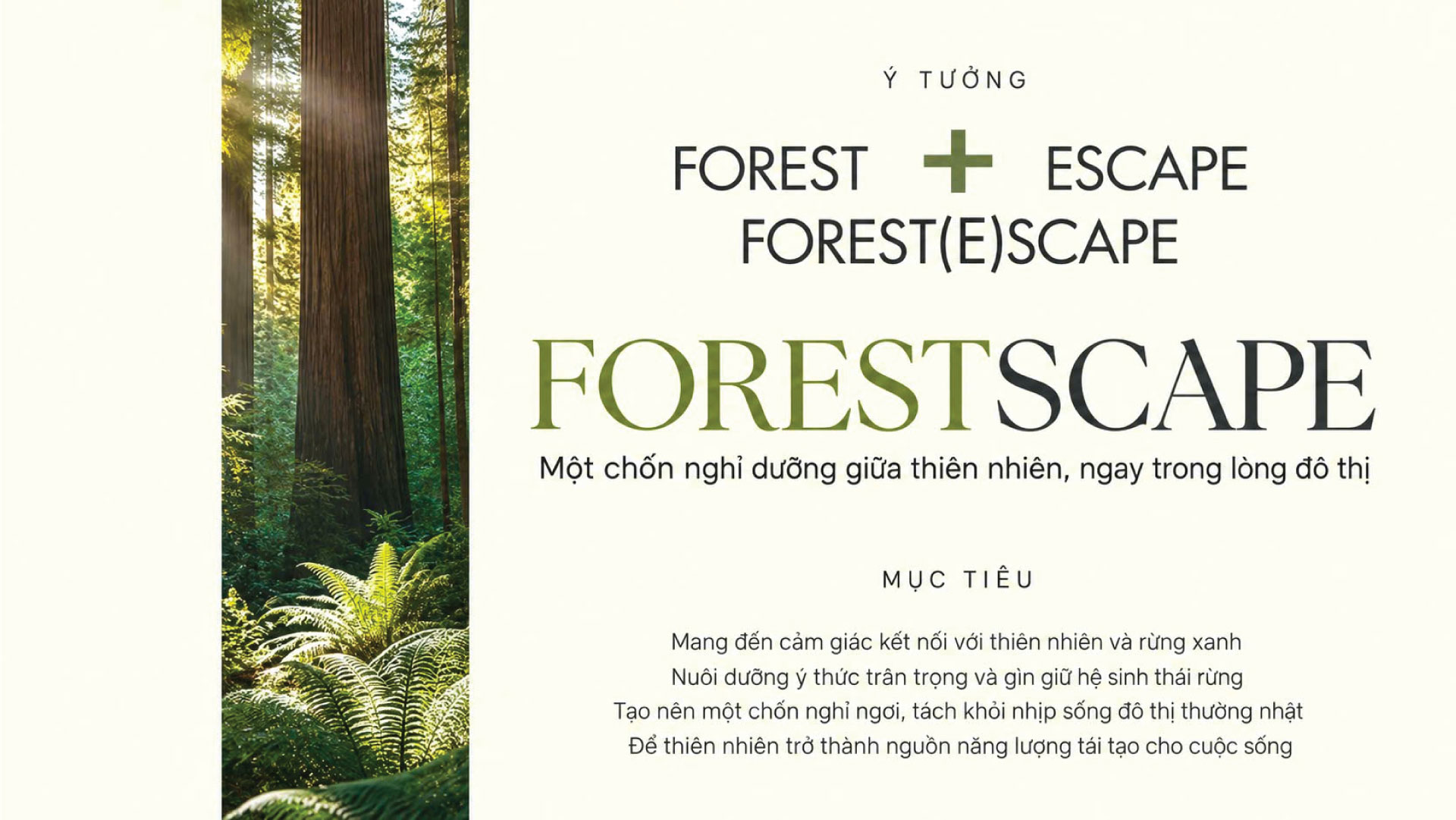 Triết Lý Cảnh Quan Forestscape